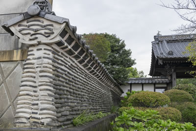 観音寺　イメージ12